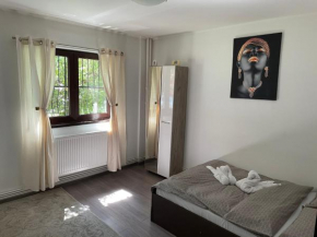 Apartament Pitesti Modern